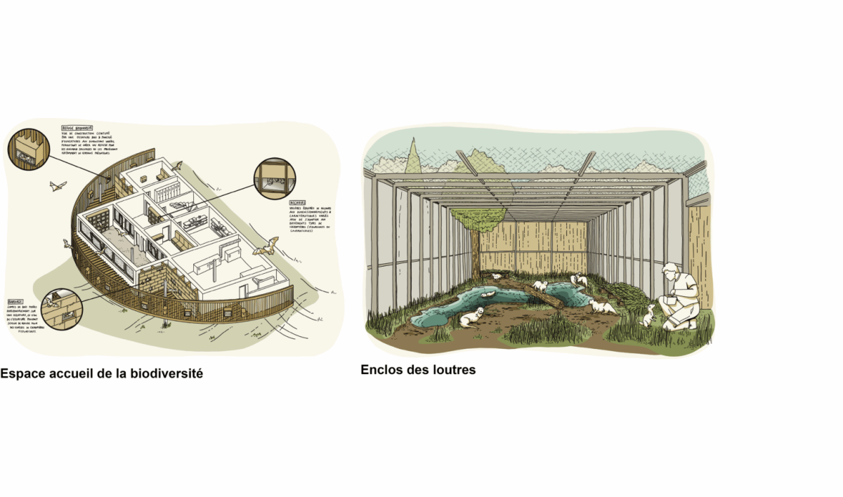 Chantier centre faune sauvage Montpellier – mission DET OPC